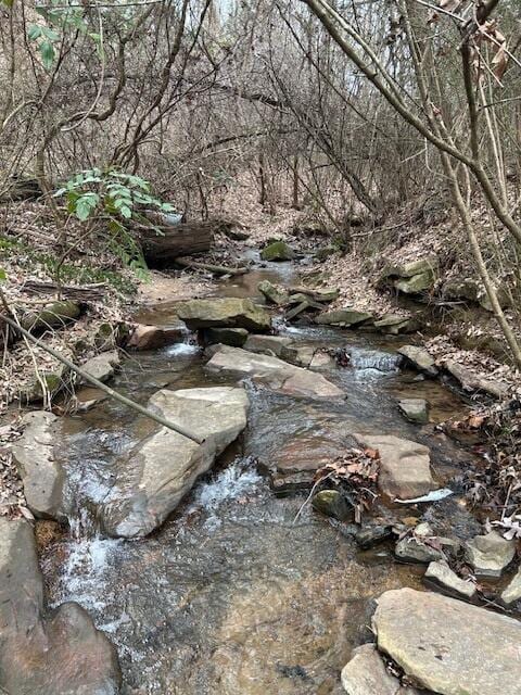 1007 Evanwood Dr E, Lookout Mountain, TN 37350 - photo 1