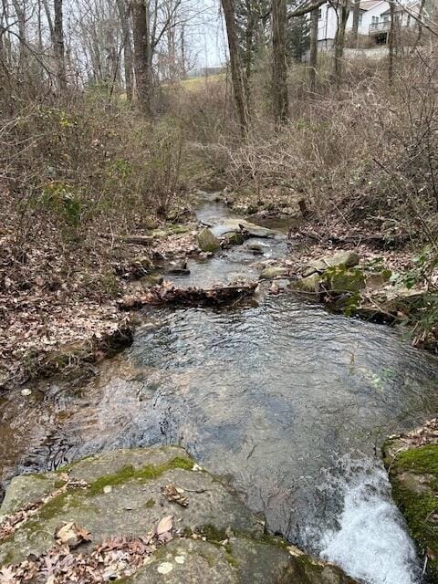 1007 Evanwood Dr E, Lookout Mountain, TN 37350 - photo 4