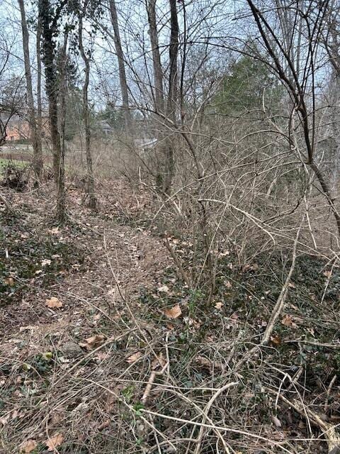 1007 Evanwood Dr E, Lookout Mountain, TN 37350 - photo 3