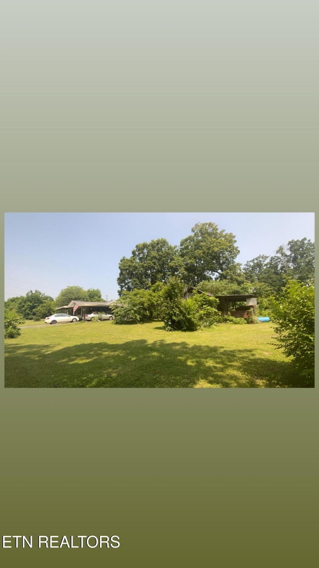 7311 Harvey Henry Rd, Corryton, TN 37721 - photo 5
