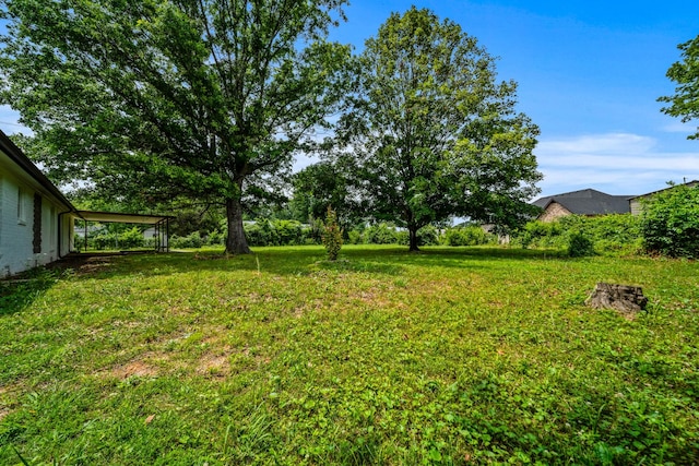 205 Walnut St, Smyrna, TN 37167 - view of grassy yard