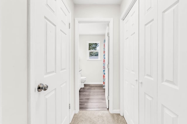 3405 Polly Dr, Clarksville, TN 37042 - hallway featuring baseboards and light carpet