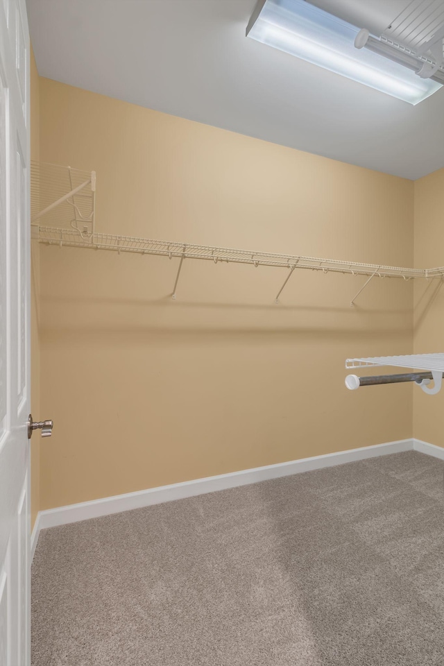 2342 N Tennessee Blvd Unit 603, Murfreesboro, TN 37130 - walk in closet with carpet