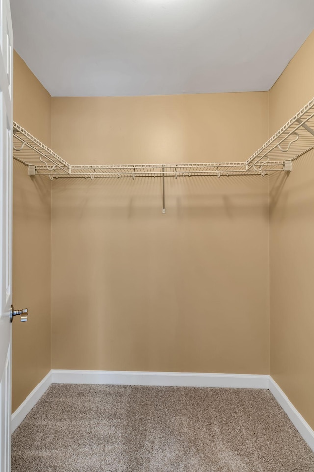 2342 N Tennessee Blvd Unit 603, Murfreesboro, TN 37130 - walk in closet with carpet flooring