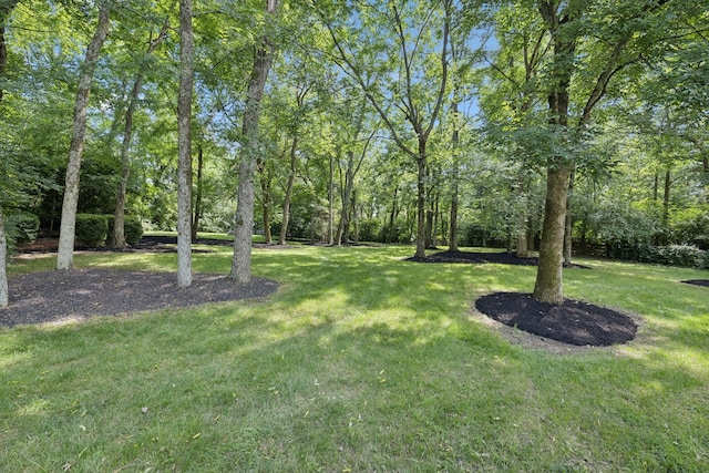 1060 Wilshire Way, Brentwood, TN 37027 - view of green lawn