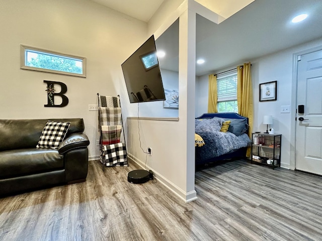 1307 Tomahawk Trce, Murfreesboro, TN 37129 - living room featuring wood finished floors and recessed lighting