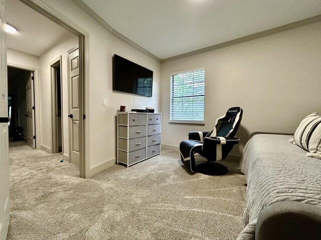 1307 Tomahawk Trce, Murfreesboro, TN 37129 - carpeted bedroom with ornamental molding and baseboards