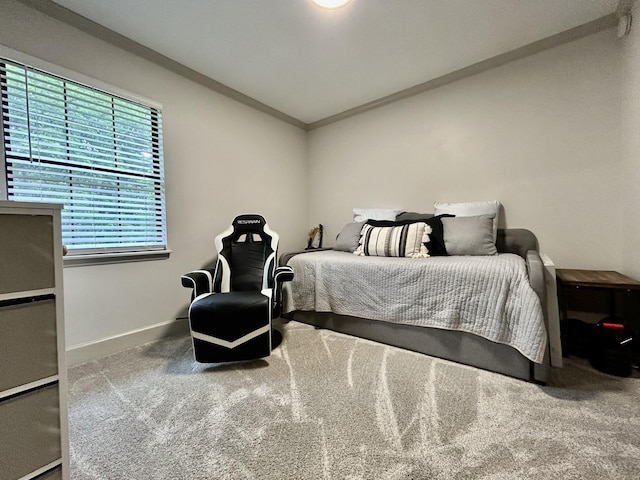1307 Tomahawk Trce, Murfreesboro, TN 37129 - bedroom with carpet floors and crown molding