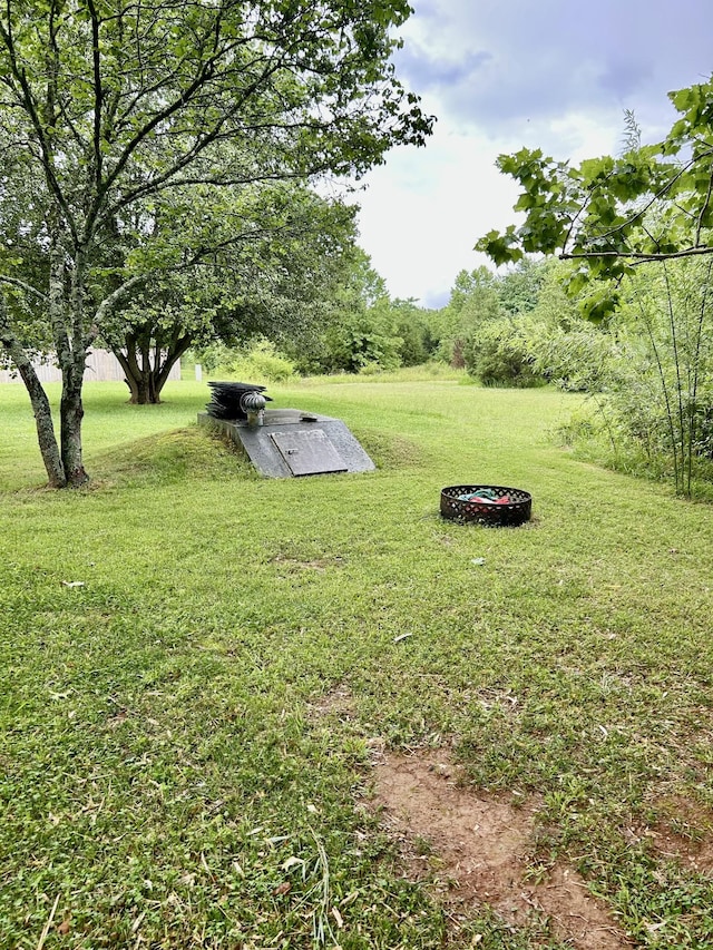 1307 Tomahawk Trce, Murfreesboro, TN 37129 - view of green lawn