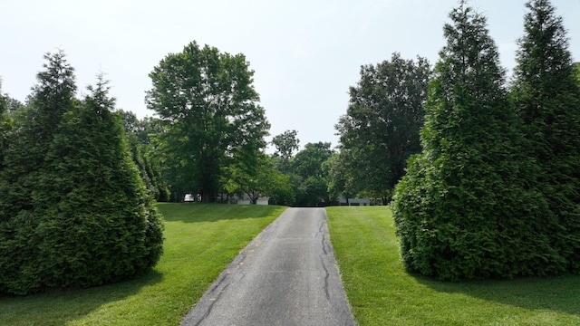 4996 Riverbend Rd, Hopkinsville, KY 42240 - photo 3