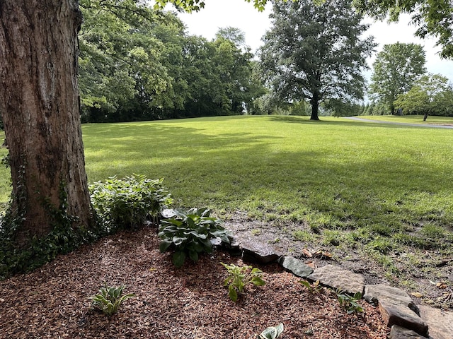 4996 Riverbend Rd, Hopkinsville, KY 42240 - photo 47