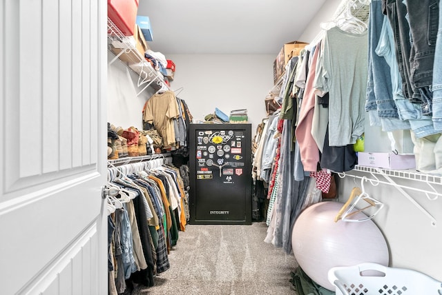 1098 Eagles View Dr, Clarksville, TN 37040 - spacious closet featuring carpet floors
