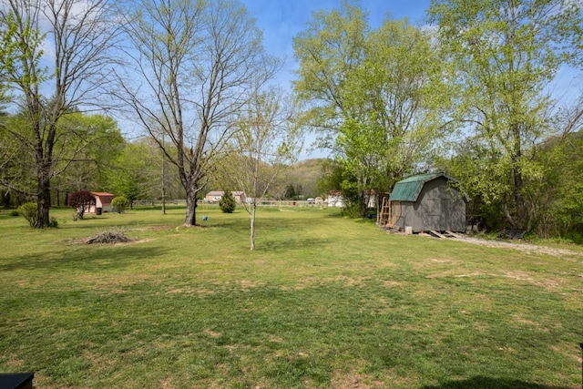 2913 New Hope Rd, Hendersonville, TN 37075 - view of green lawn featuring a storage shed