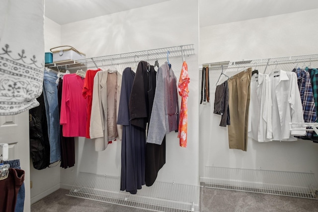 1438 Brighton Cir, Old Hickory, TN 37138 - spacious closet with carpet