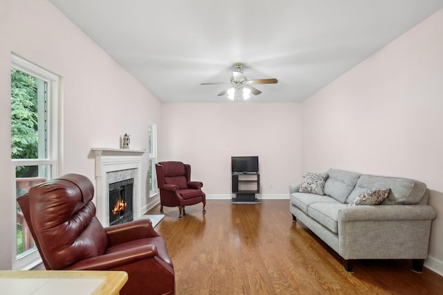 1438 Brighton Cir, Old Hickory, TN 37138 - living room featuring a premium fireplace, wood finished floors, and ceiling fan