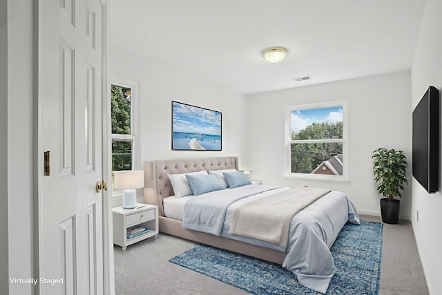 1438 Brighton Cir, Old Hickory, TN 37138 - carpeted bedroom with baseboards