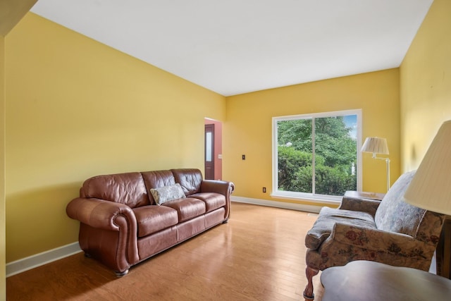 1438 Brighton Cir, Old Hickory, TN 37138 - living room with wood finished floors and baseboards