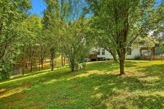 145 W Hollis Chapel Rd, Portland, TN 37148 - view of yard