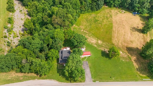 145 W Hollis Chapel Rd, Portland, TN 37148 - bird's eye view