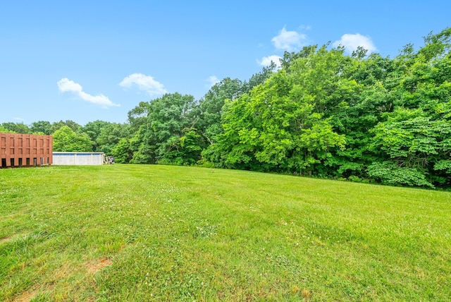 2430 Underwood Rd, Cunningham, TN 37052 - view of green lawn with an outdoor pool and a view of trees