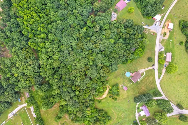 2430 Underwood Rd, Cunningham, TN 37052 - aerial view of property's location