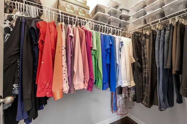 625 Foster Ln, Mount Juliet, TN 37122 - view of spacious closet
