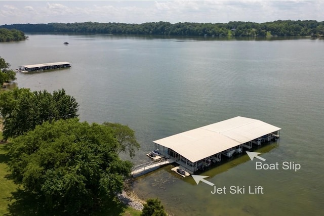 133 Tanasi Shr, Gallatin, TN 37066 - dock with a water view