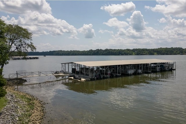 133 Tanasi Shr, Gallatin, TN 37066 - dock with a water view