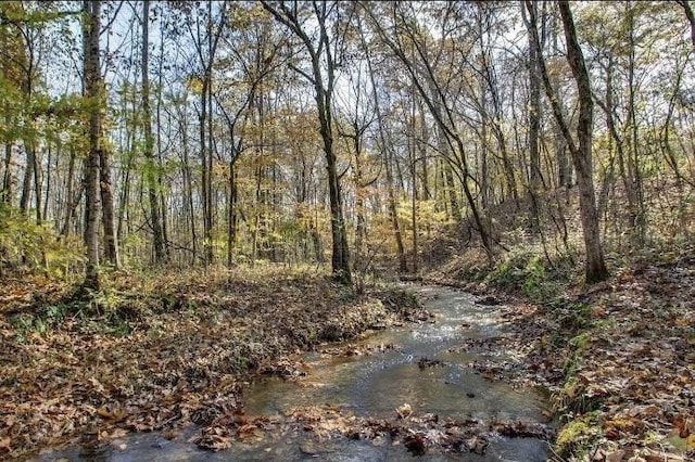 7368 Overbey Rd, Fairview, TN 37062