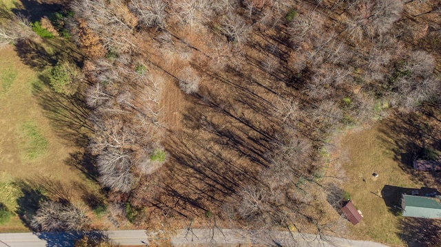 7368 Overbey Rd, Fairview, TN 37062