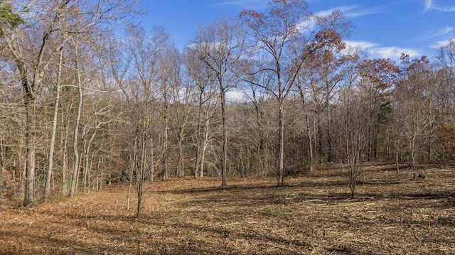 7368 Overbey Rd, Fairview, TN 37062