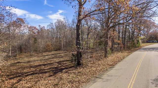 7368 Overbey Rd, Fairview, TN 37062