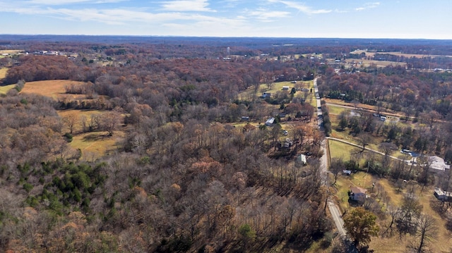 7368 Overbey Rd, Fairview, TN 37062