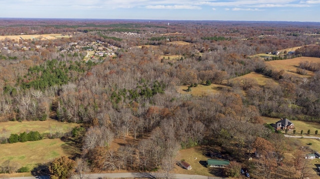 7368 Overbey Rd, Fairview, TN 37062