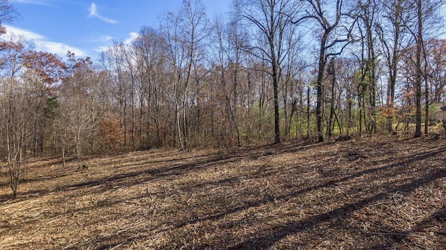 7368 Overbey Rd, Fairview, TN 37062