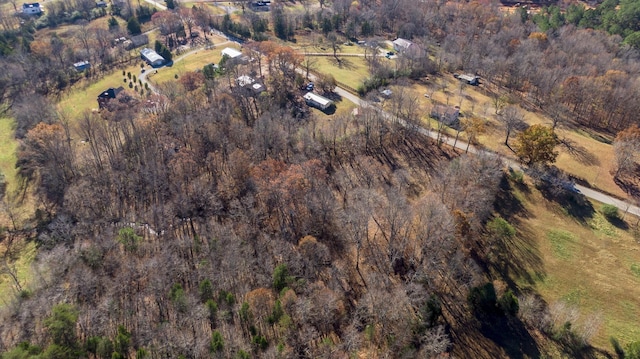 7368 Overbey Rd, Fairview, TN 37062