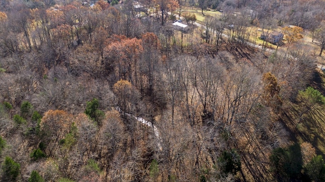 7368 Overbey Rd, Fairview, TN 37062