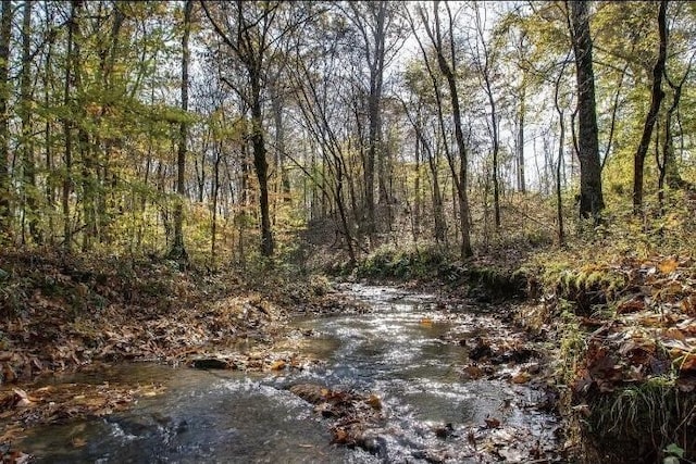 7368 Overbey Rd, Fairview, TN 37062