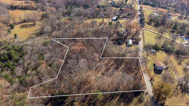 7368 Overbey Rd, Fairview, TN 37062
