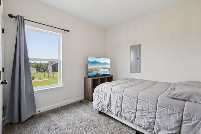 1202 Oak Grove Rd, Dickson, TN 37055 - carpeted bedroom with electric panel and baseboards