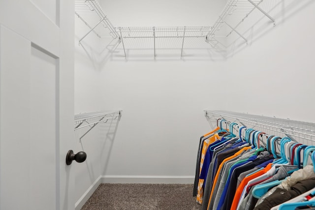 1202 Oak Grove Rd, Dickson, TN 37055 - spacious closet featuring carpet floors