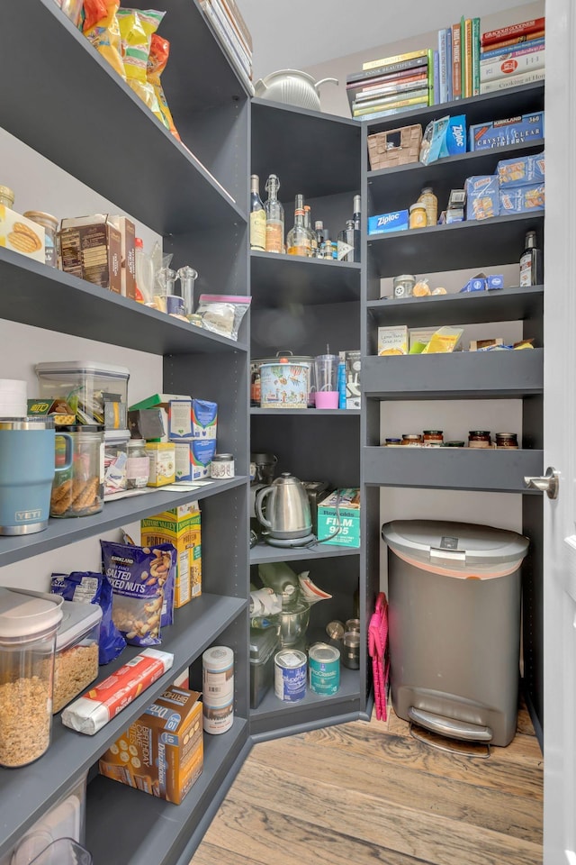 3002 Obion Pass, Spring Hill, TN 37174 - view of storage area