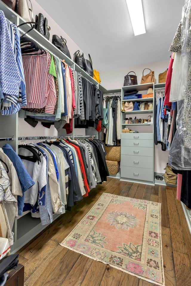 3002 Obion Pass, Spring Hill, TN 37174 - spacious closet with wood finished floors