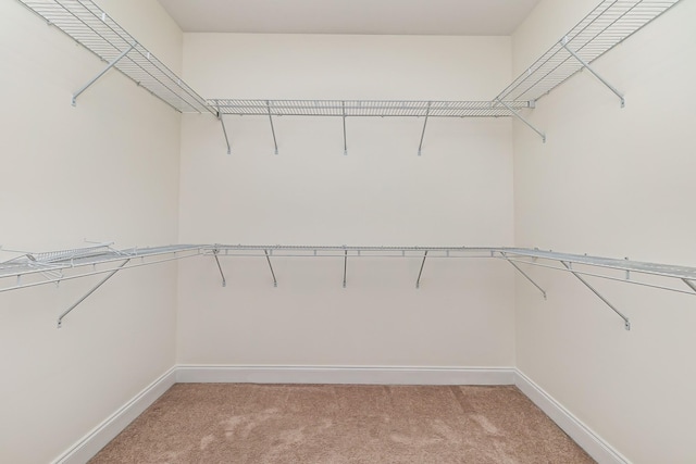 76 Molly Bright Ln, Franklin, TN 37064 - walk in closet with light colored carpet