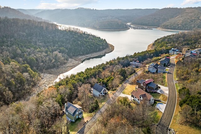 280 Sandgate Dr, Smithville, TN 37166 - photo 50
