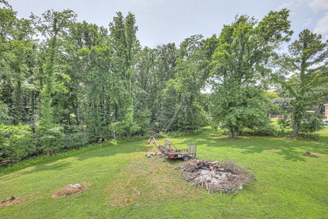 1202 Willow Brook Pass, Mount Juliet, TN 37122 - view of grassy yard