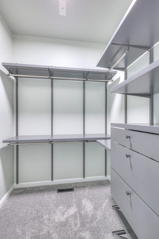 1202 Willow Brook Pass, Mount Juliet, TN 37122 - walk in closet featuring carpet