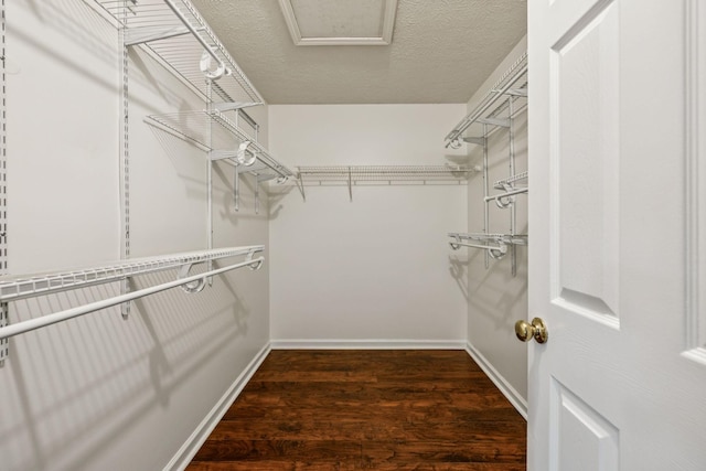 3524 Glenfalls Dr, Hermitage, TN 37076 - walk in closet with wood finished floors