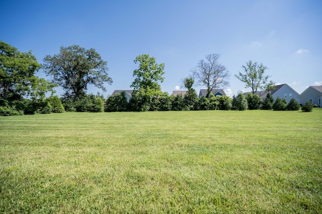 418 Mcchrystal Dr, Murfreesboro, TN 37129 - photo 27
