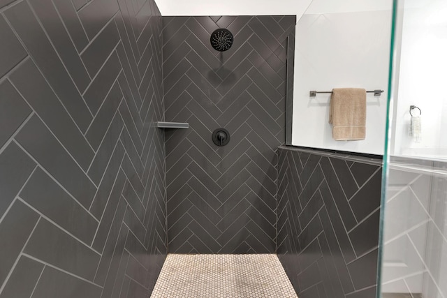 5509 Bridgemore Blvd, Murfreesboro, TN 37129 - bathroom with tiled shower